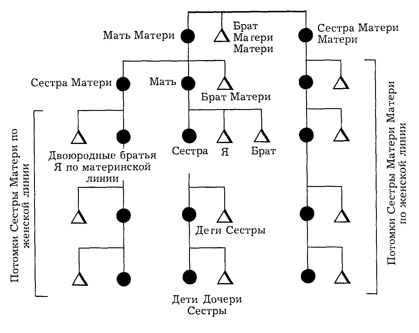Ребенок троюродной сестры