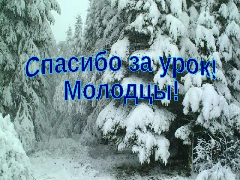 Беседа жизнь животных зимой. Жизнь животных зимой. время года зима животные презентация. изменения в жизни животных зимой. жизнь животных и растений зимой презентация для детей.