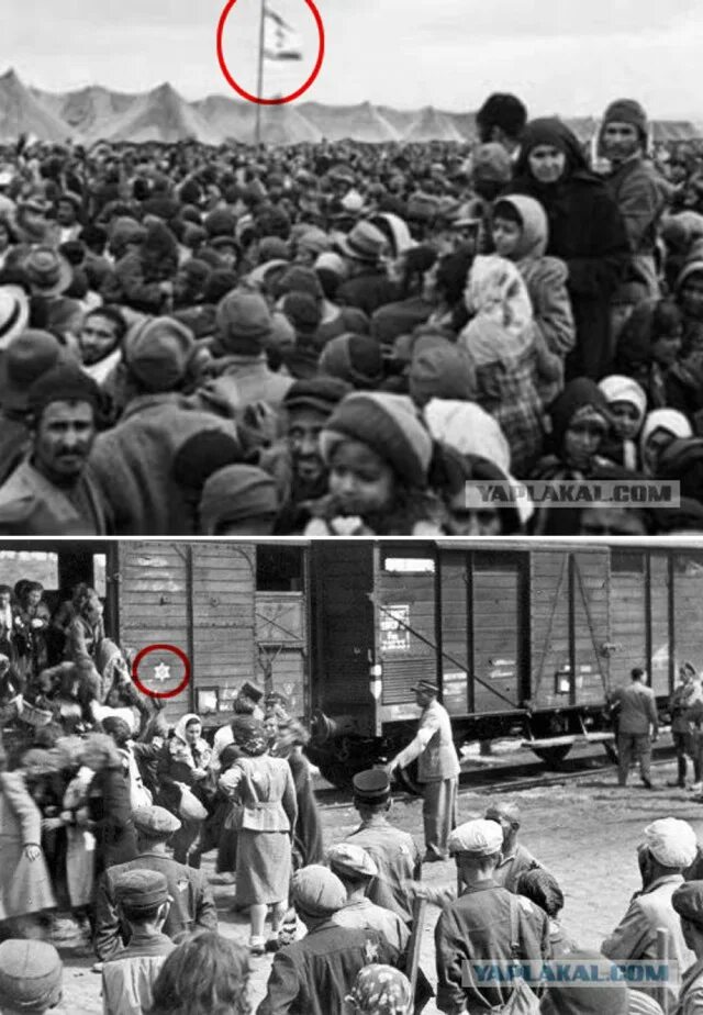 Депортация чеченского народа 1944. Депортация ингушей в 1944. Депортация вайнахов 1944.
