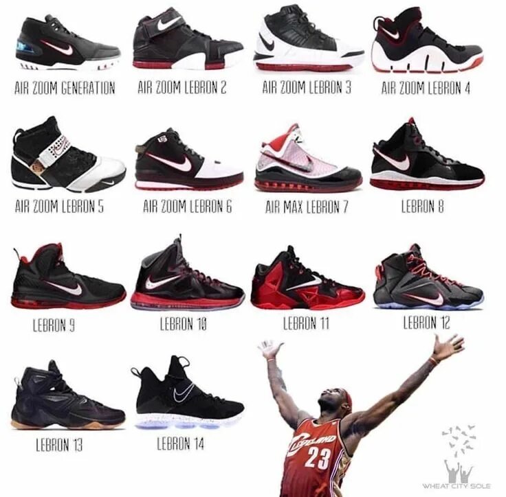 Nike Air Jordan Леброн. Nike Jordan LEBRON. Nike Air Jordan LEBRON James. Air Jordan модели кроссовок. Виды кроссовок nike
