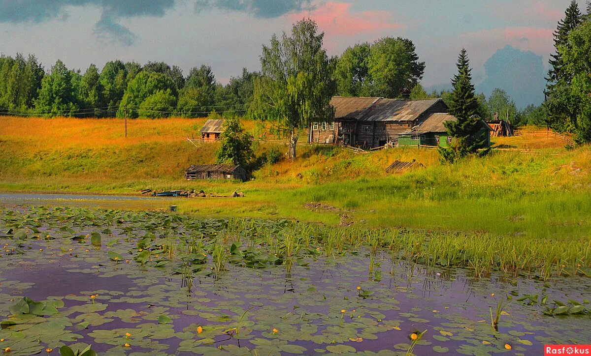 Деревенские пейзажи фото. Деревенский пейзаж. Озеро в деревне. Деревенские мотивы. Деревенский пейзаж Россия.