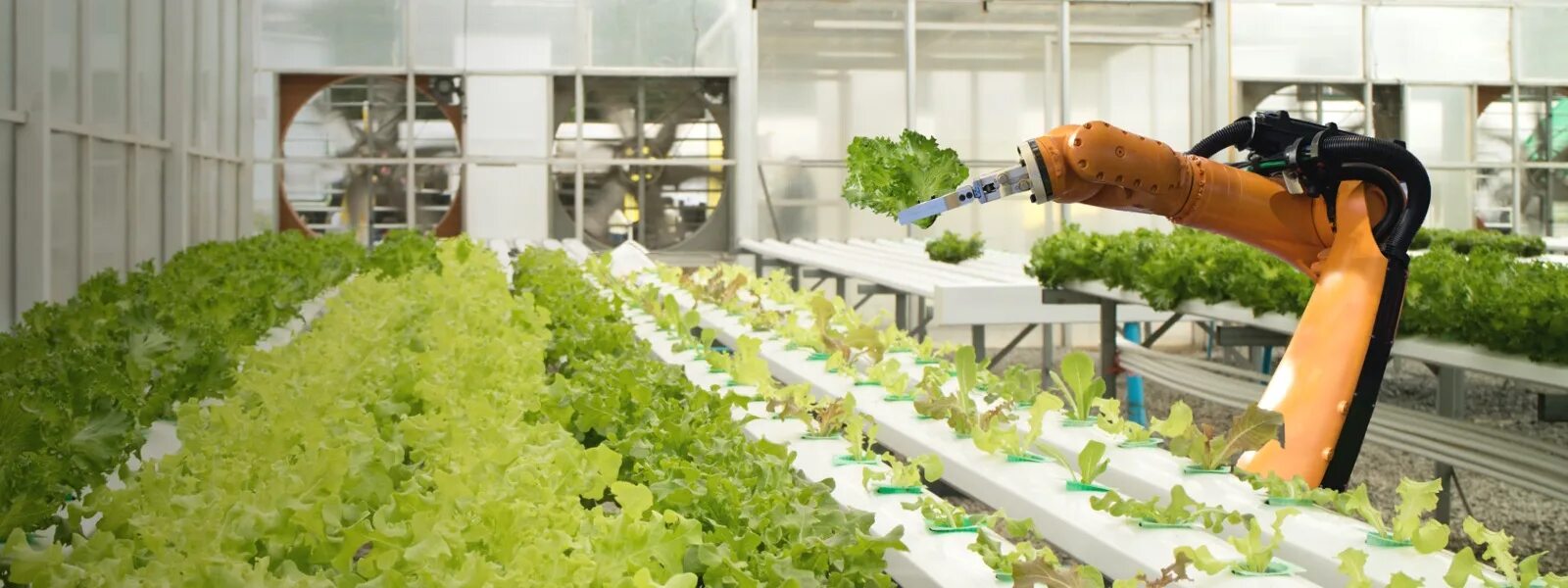 Инновации в сельском хозяйстве. Искусственный интеллект в сельском хозяйстве. Робототехника в сельском хозяйстве. Роботизированное сельское хозяйство. Искусственный интеллект в сельском хозяйстве.