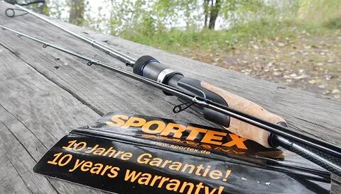 Sportex competition cs 5