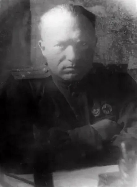 Дивизия гатчина