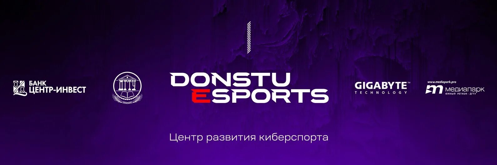 Edu donstu ru личный. Центр развития киберспорта ДГТУ. ДГТУ киберспорт. Donstu Esports команда Ростов. My e donstu.