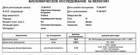 Креатинин в моче кота