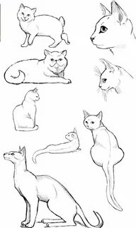 Рисовка кошки