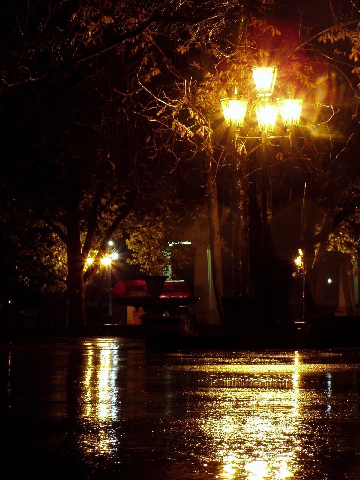 Осенний вечер в городе. Дождливый осенний вечер. Ночной осенний город и фонариками. Осенняя ночь.