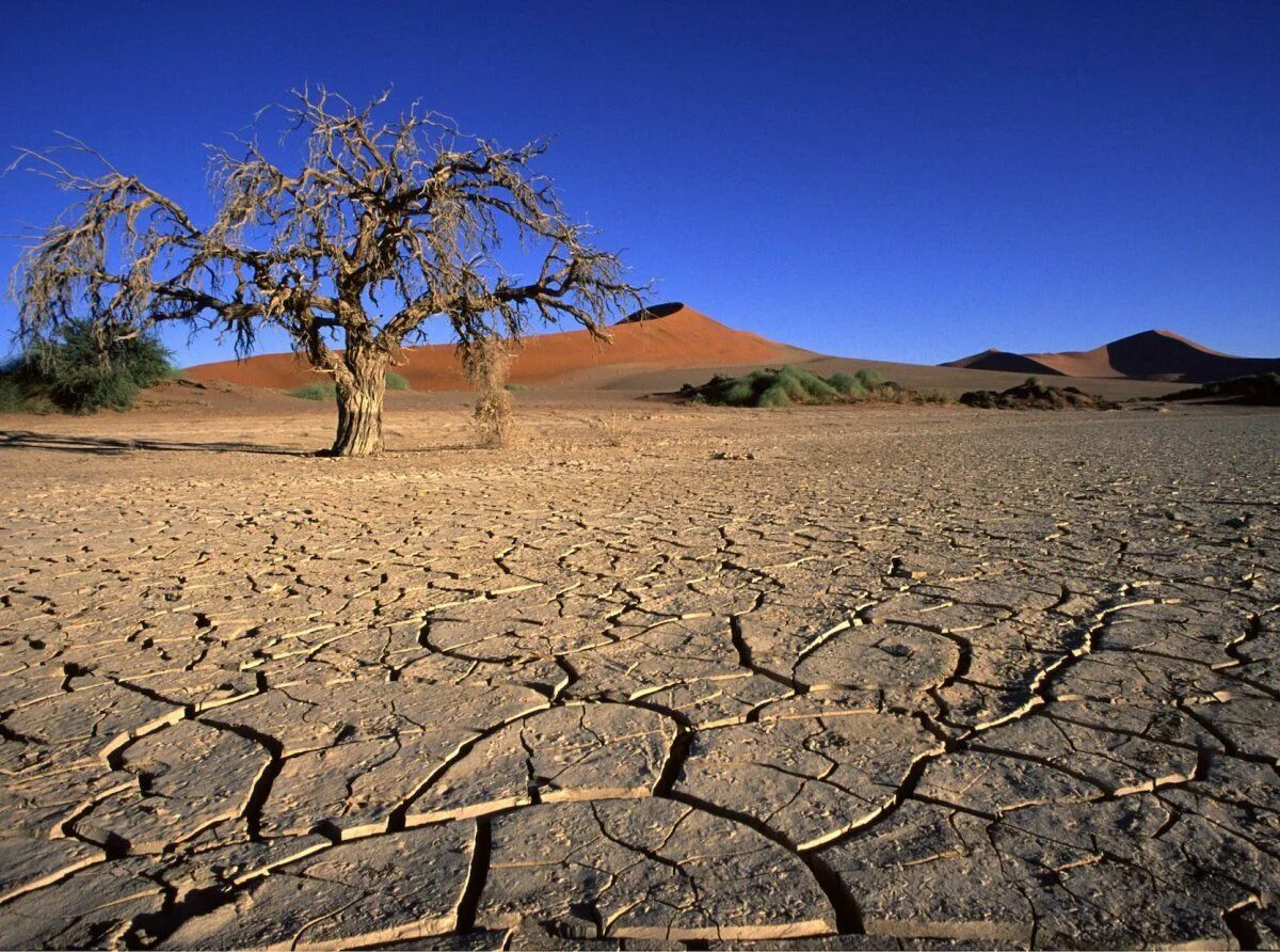 Почва пустыни Намиб. Полупустыня Намиб. Солончаковые пустыни. Опустынивание Африки.