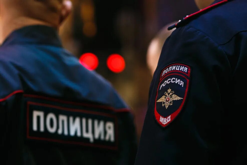Общественная безопасность и борьба с преступностью. Борьба с преступностью полиция. полиция борется с преступностью. полицейским борется с преступностью. артем дубровин полиция.
