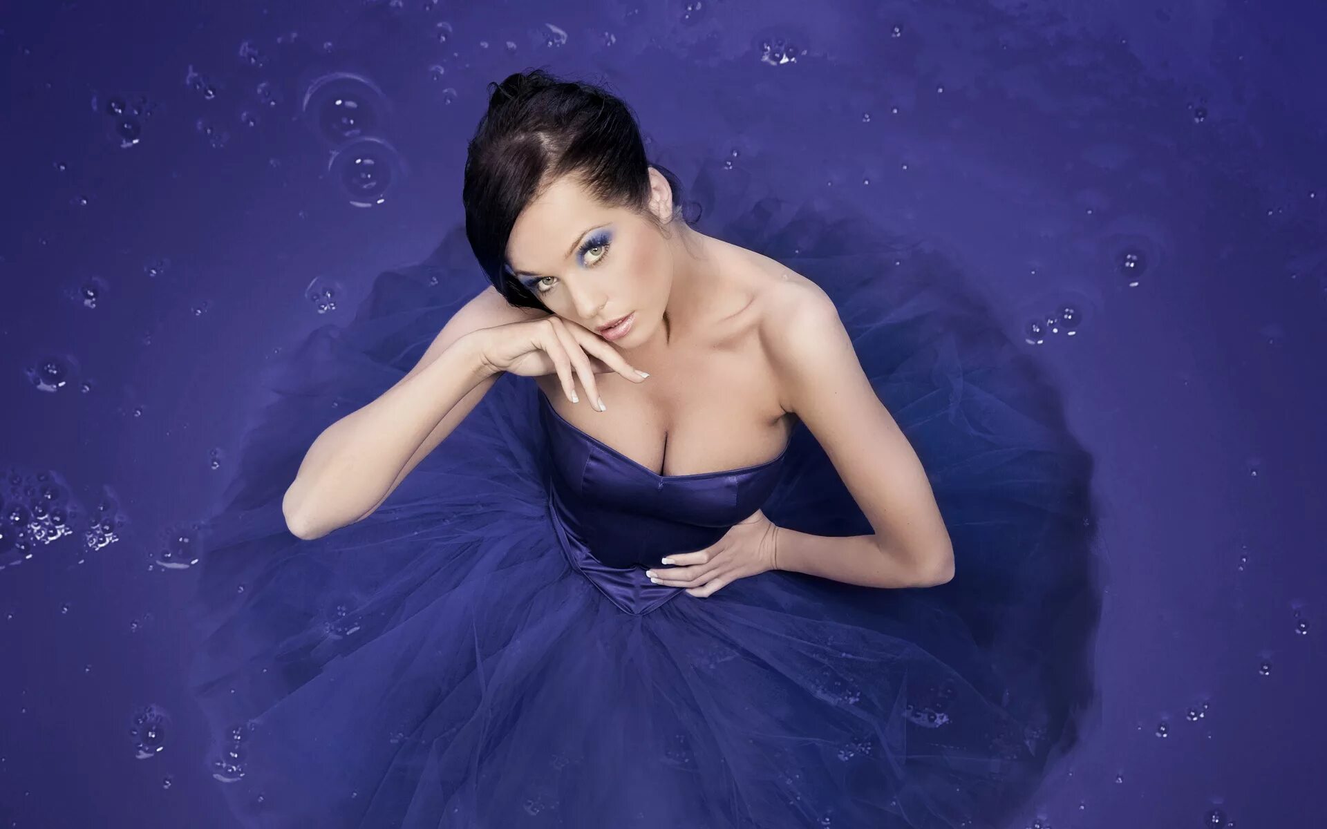 Purple models