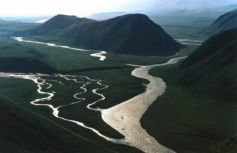 Впадающая в куру