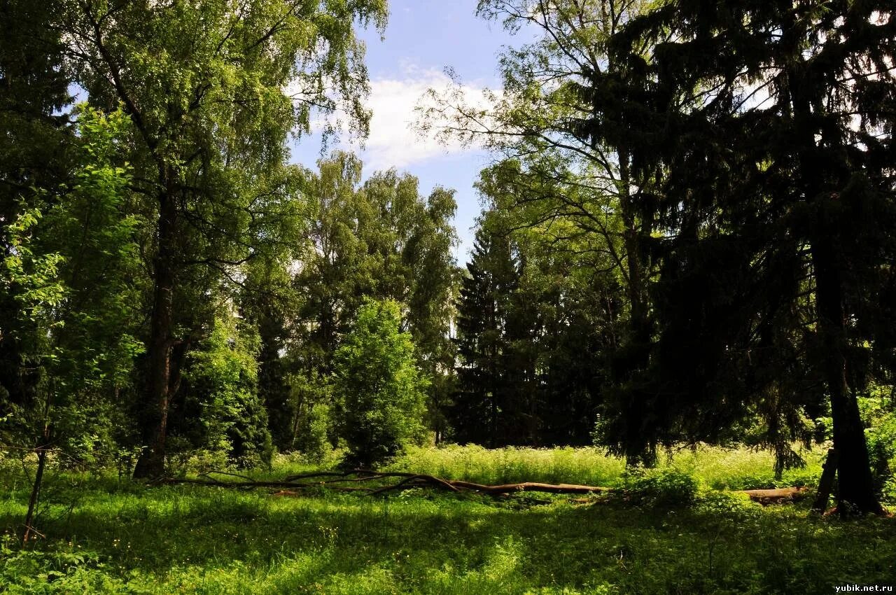 парк лосиный остров балашиха. лосиный остров национальный парк. королёв город лосиный остров. парк лосиный остров. лосиный остров балашиха.