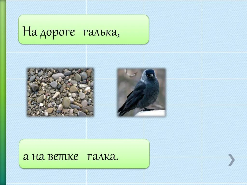 Ответь мне галка. Ответь мне галка