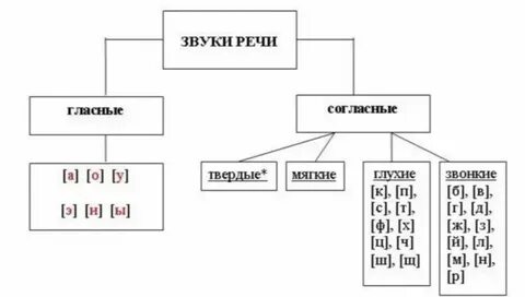 Звук определение и понятие