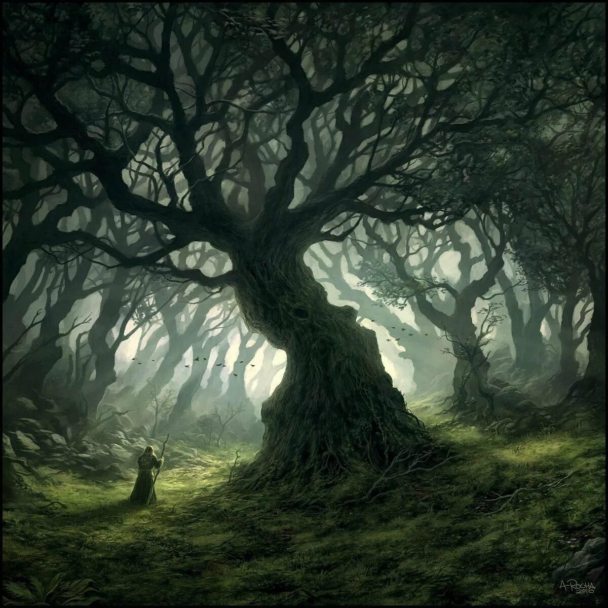 Загадочное дерево. Шервудский лес Хоббит. Лихолесье Властелин колец. Мрачное дерево. Мистические пейзажи.