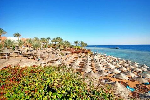 Nubian island 5 египет шарм эль шейх