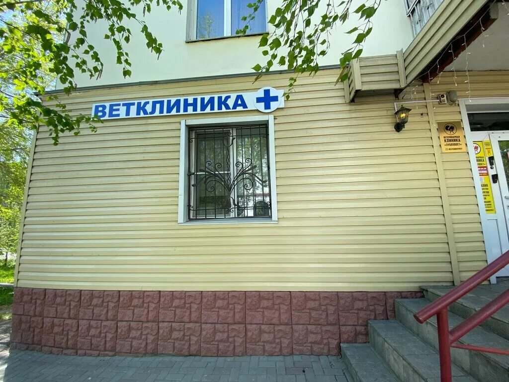 алтайветуслуги барнаул. ветклиника на шукшина в барнауле. айболит ветеринарная клиника барнаул. ветеринарная клиника барнаул. ветеринарная клиника ника.