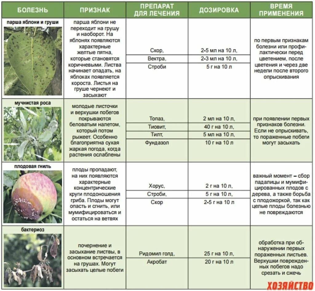 Можно ли 10 мая. Схема опрыскивания сада весной. Таблица препаратов для обработки растений от вредителей. Схема удобрения яблонь. Схема обработки яблонь весной.