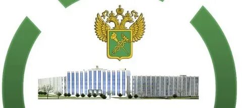 Сайт спб филиала рта