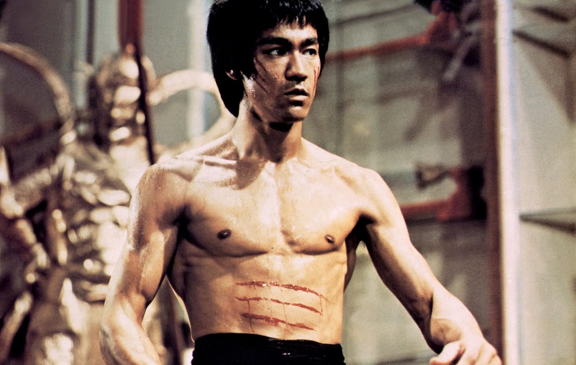 Про брюс. Брюс ли. великий каратист брюс ли. dragon: the bruce lee story 1993. брюс ли: путь воина (2000).