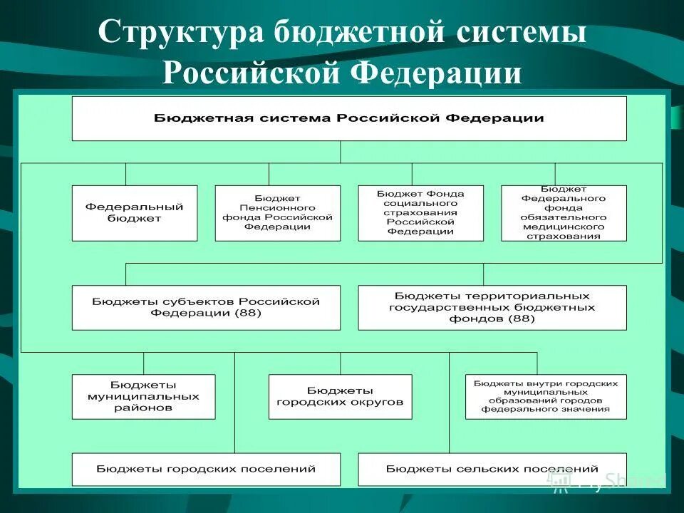 Органы управления бюджетного фонда