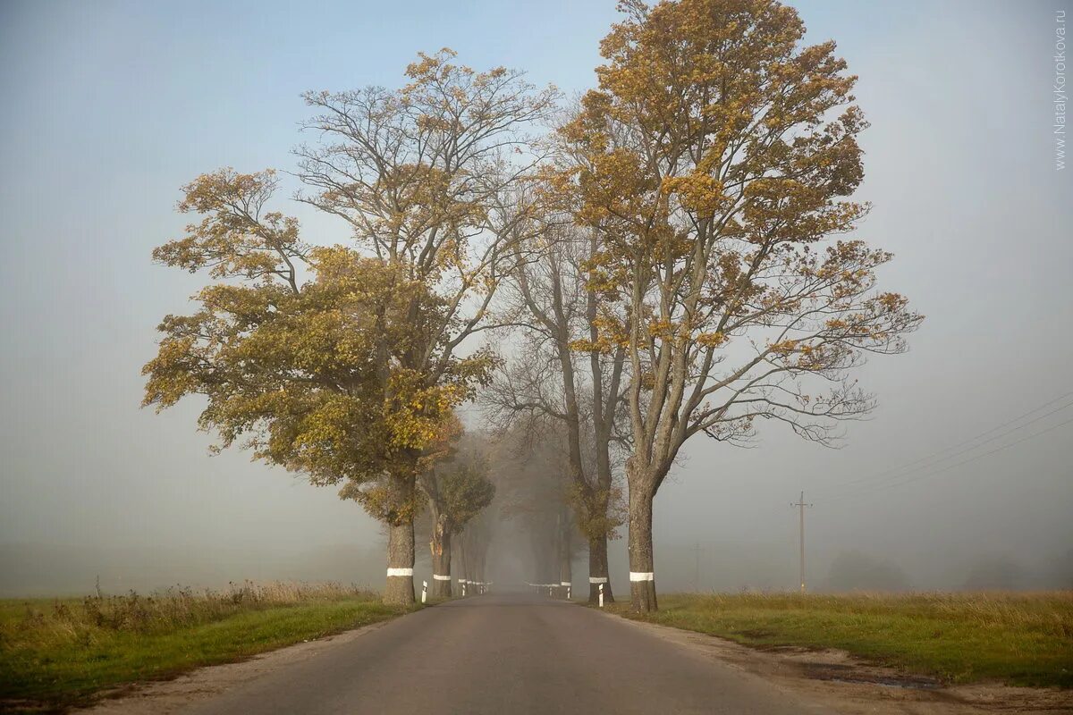 развилка дороги. дороги которые мы выбираем фото. дороги которые мы выбираем презентация. генри книга. дороги которые они не выбирали.