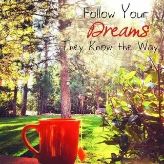 Did you follow your follow your