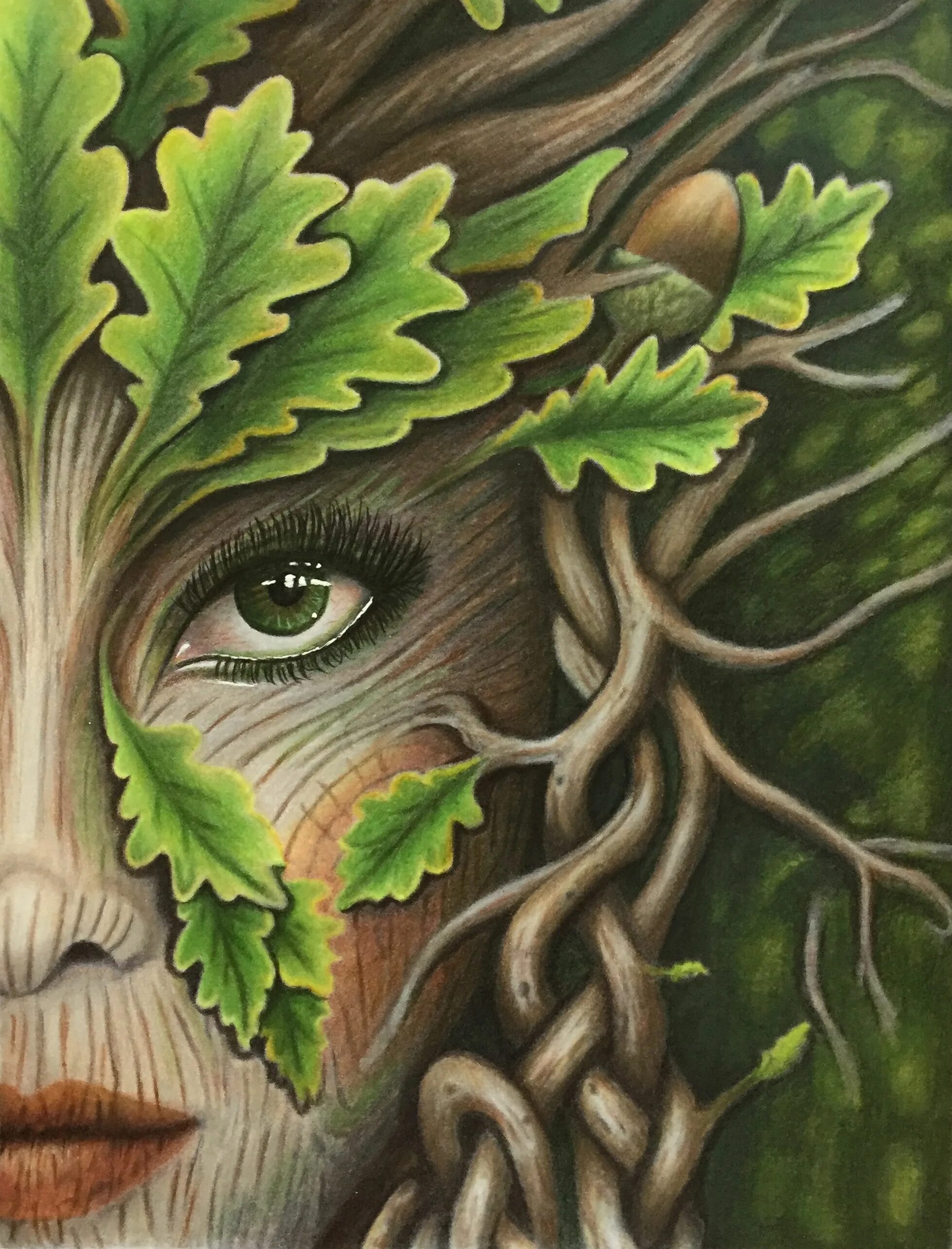 Картинки лицо дерево. Мать природа. Дерево с лицом. Дерево с лицом арт. Картина дерево лицо.