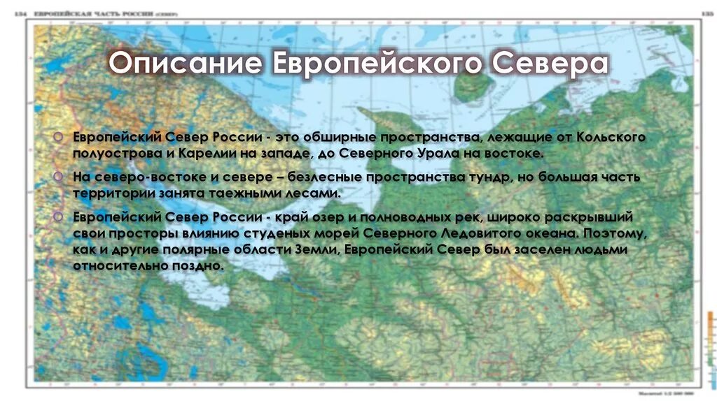 Природные особенности северо запада. Описание географического положения европейского севера. Характеристика географического положения европейского севера.