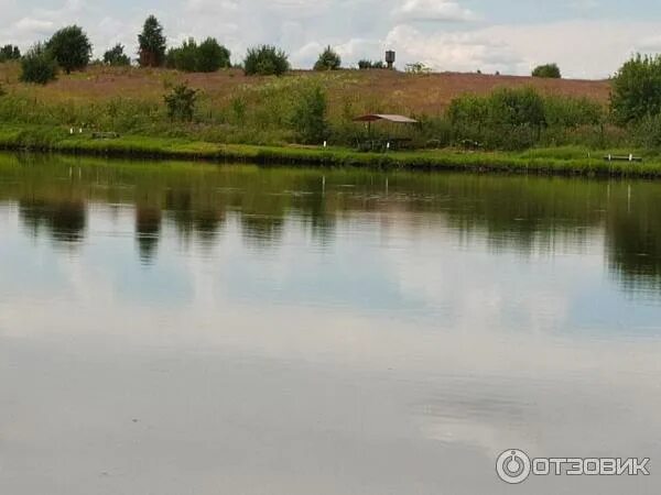 Бушево пруд тула. Безруковский пруд в каменке. Озеро в каменке шахтинский. Каменка озеро нск рыбалка. Озеро каменка калужская.