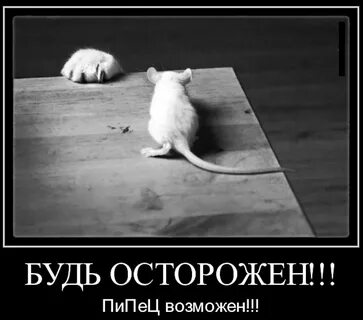 Будь осторожен по английски