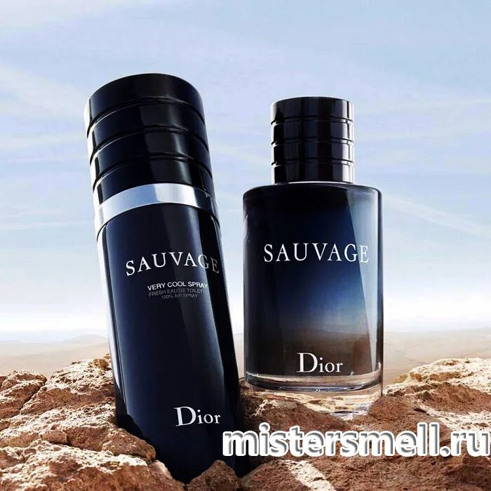 Dior sauvage. Духи Саваж диор мужские. Мужской Парфюм Dior sauvage. Dior sauvage very cool Spray 100 ml.