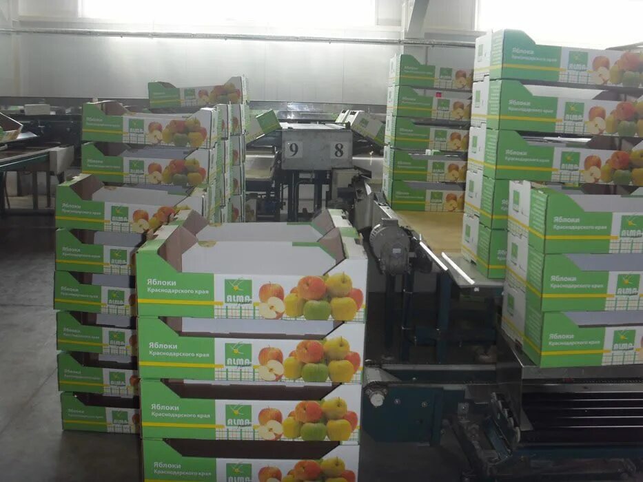 алма продакшн абинск. алма сад абинск. алма продакшн абинск. алма продакшн. агрономы алма продакшн.