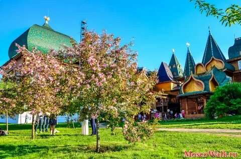 Коломенский парк цветение