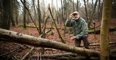 Forest ranger