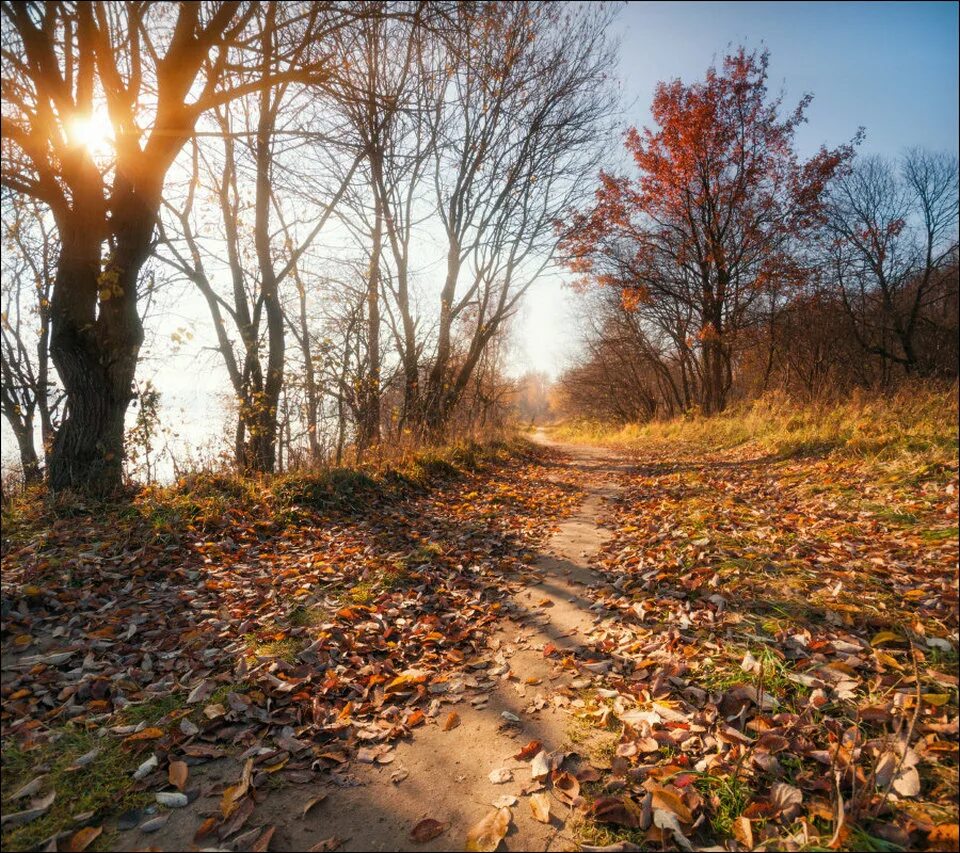 Поздняя осень. Природа в конце октября. Солнечная поздняя осень. Поздняя осень солнце в городе.