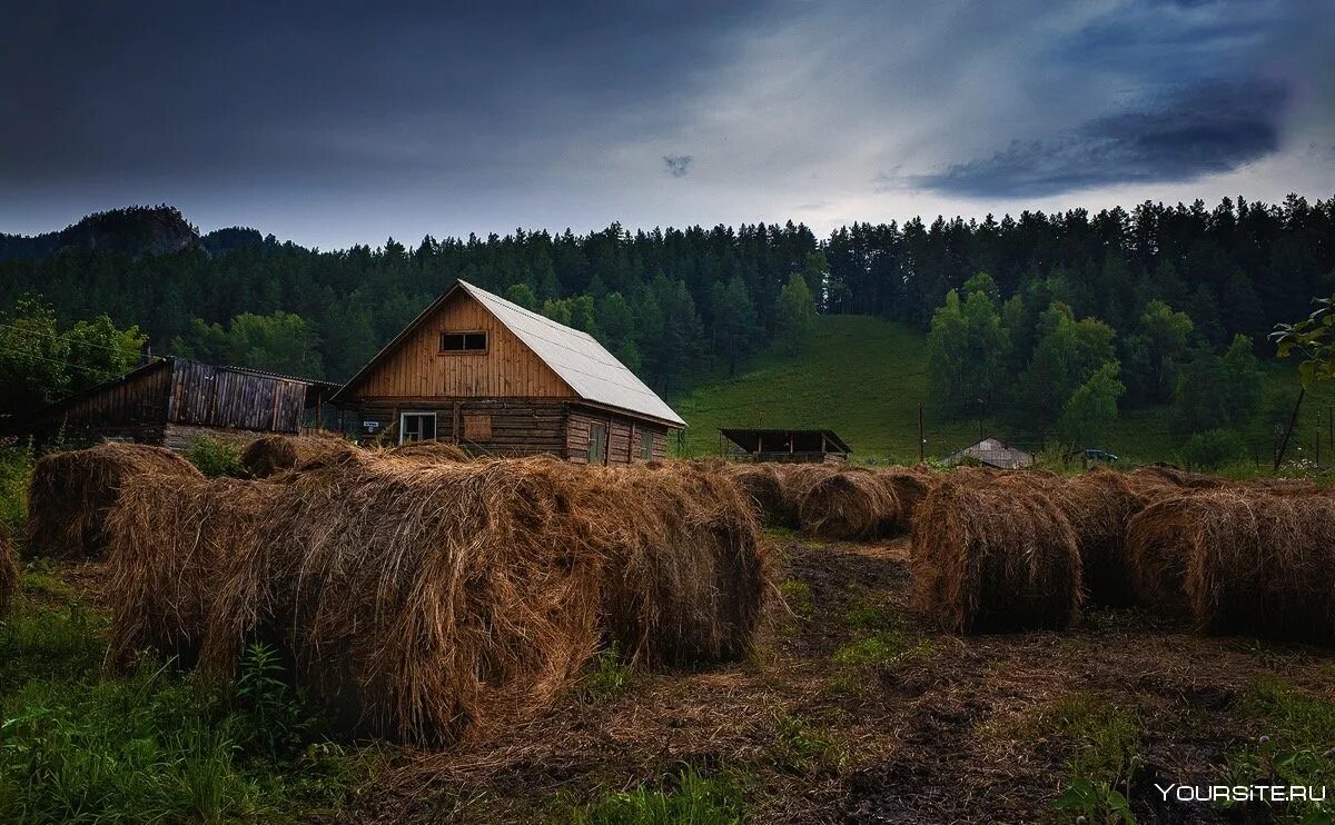 Где сельская местность. Сельская местность. Сельская местность России. Природа сельской местности. Красивая Сельская местность в России.