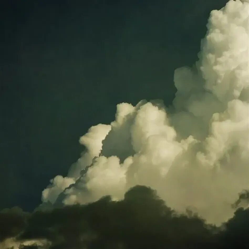 overdosage Far away, Clouds, Hemlock
