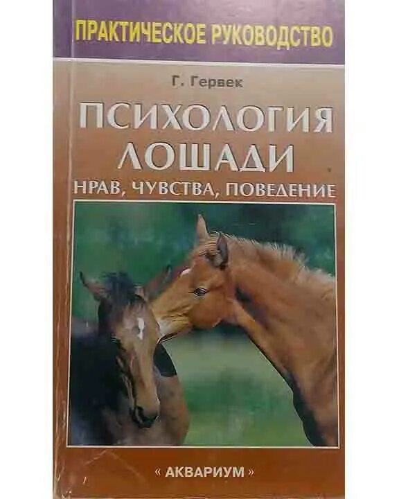 Психология лошади. Психология лошади книга. Психика лошади. Книги про лошадей Художественные. Читать про лошадей