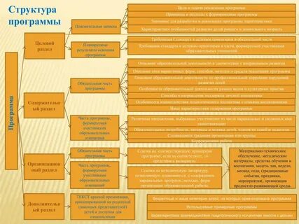 Структура профессиональной программы структура