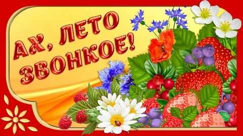 Видео с поздравлением лета