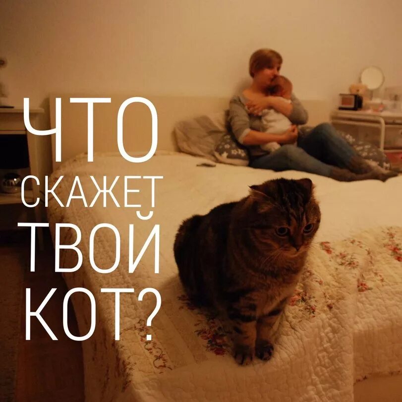 говорить. в. прежде чем заводить детей подумай что скажет твой кот. цитаты после которых хочется жить. каждый человек твой учитель.