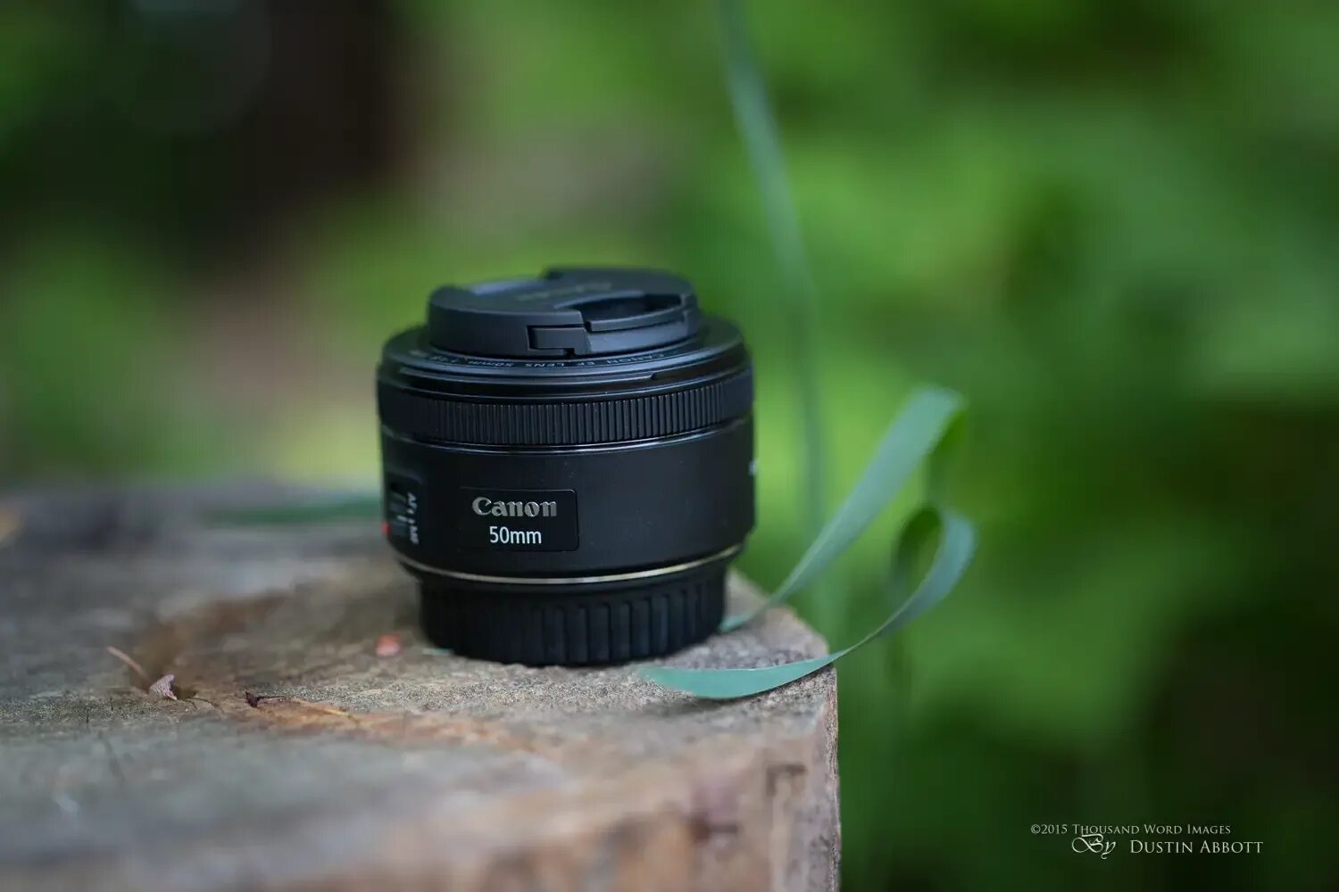 1.8 ii. Canon ef 50mm f/1.8 stm. canon ef lens 50mm 1:1.8 stm. canon ef 50mm 1.8 stm. canon stm 50mm f1.8 ii.
