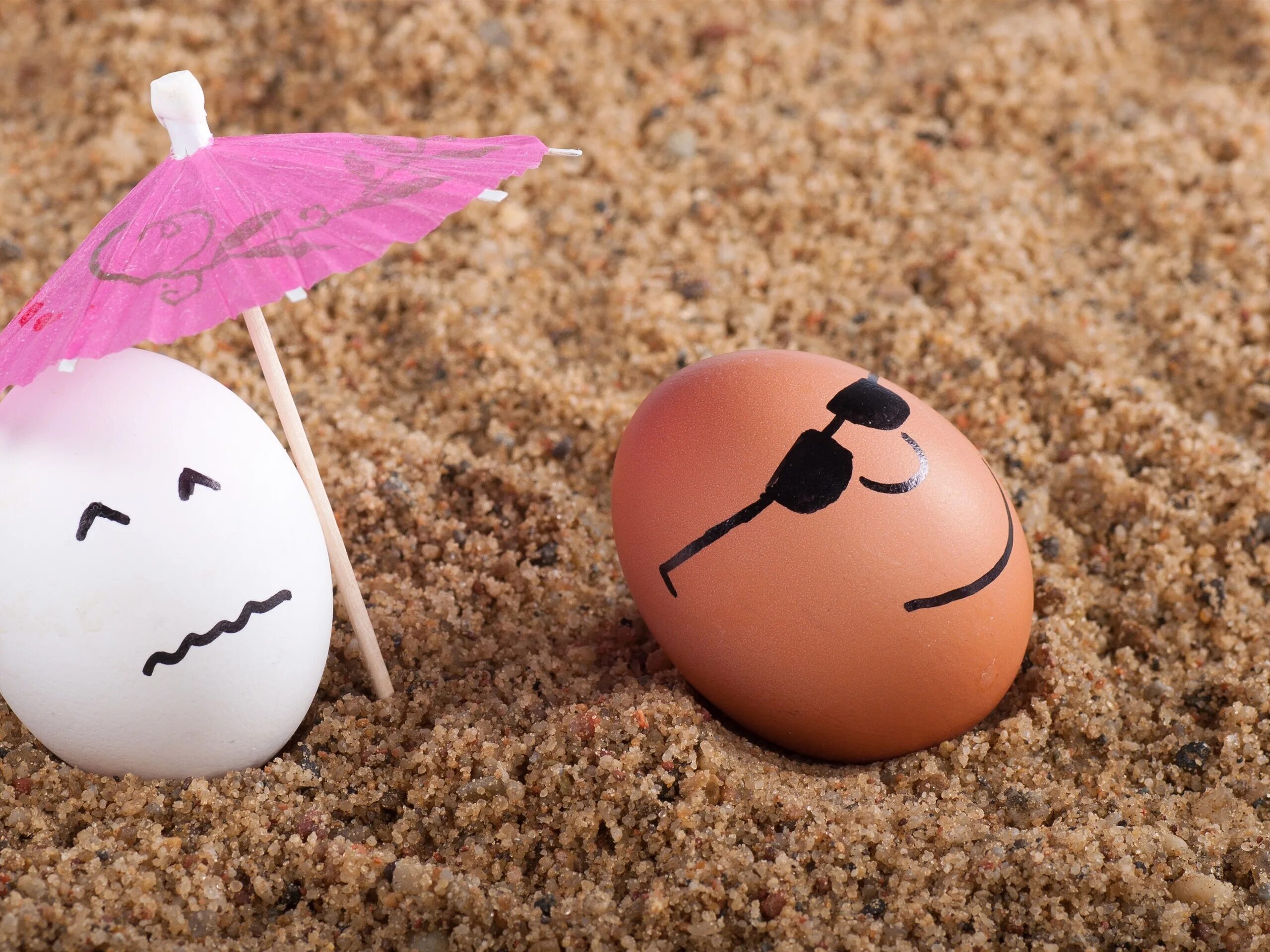 картинки для поднятия настроения. позитивчик для поднятия настроения. котики поднимают настроение. прикольный позитив. кот в венке из одуванчиков.