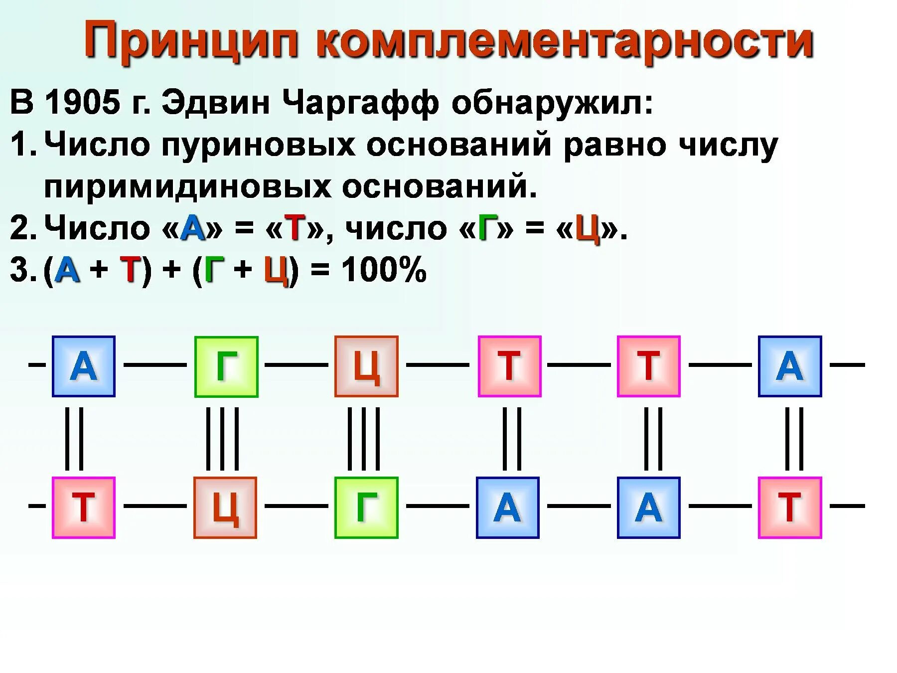 Принцип комплементарности а т у г ц. Принцип комплементарности РНК. Правило комплементарности РНК. Комплементарность ДНК И РНК.