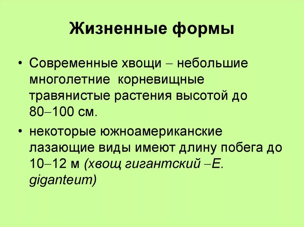 Жизненная форма хвощевидных. Жизненная форма хвощей кратко. жизненная форма хвощевидных растений. жизненная форма современных хвощевидных.