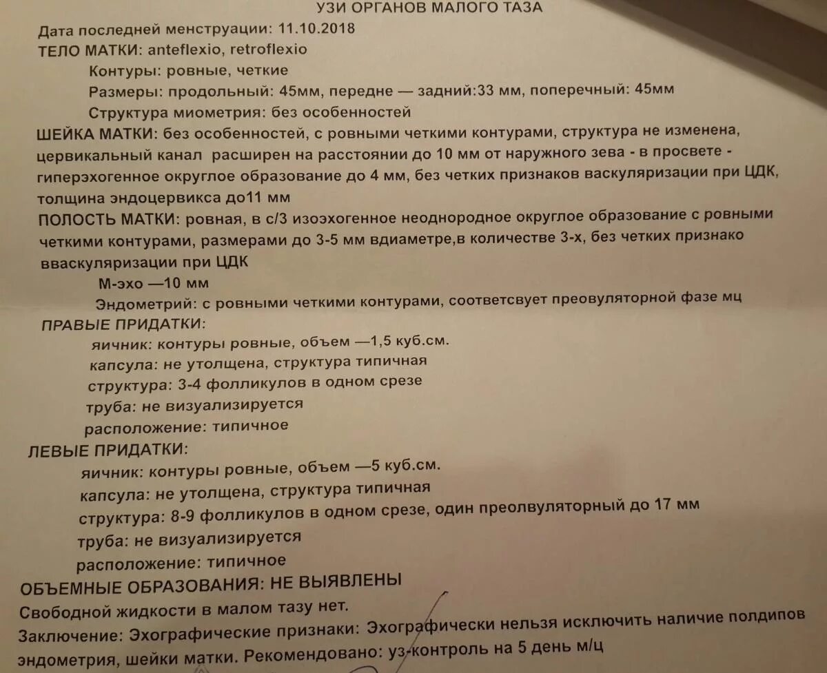 Заключение УЗИ малого таза. УЗИ малого таза анализ. УЗИ органов малого таза заключение. Нормы УЗИ малого таза у женщин норма. Можно делать узи перед месячными