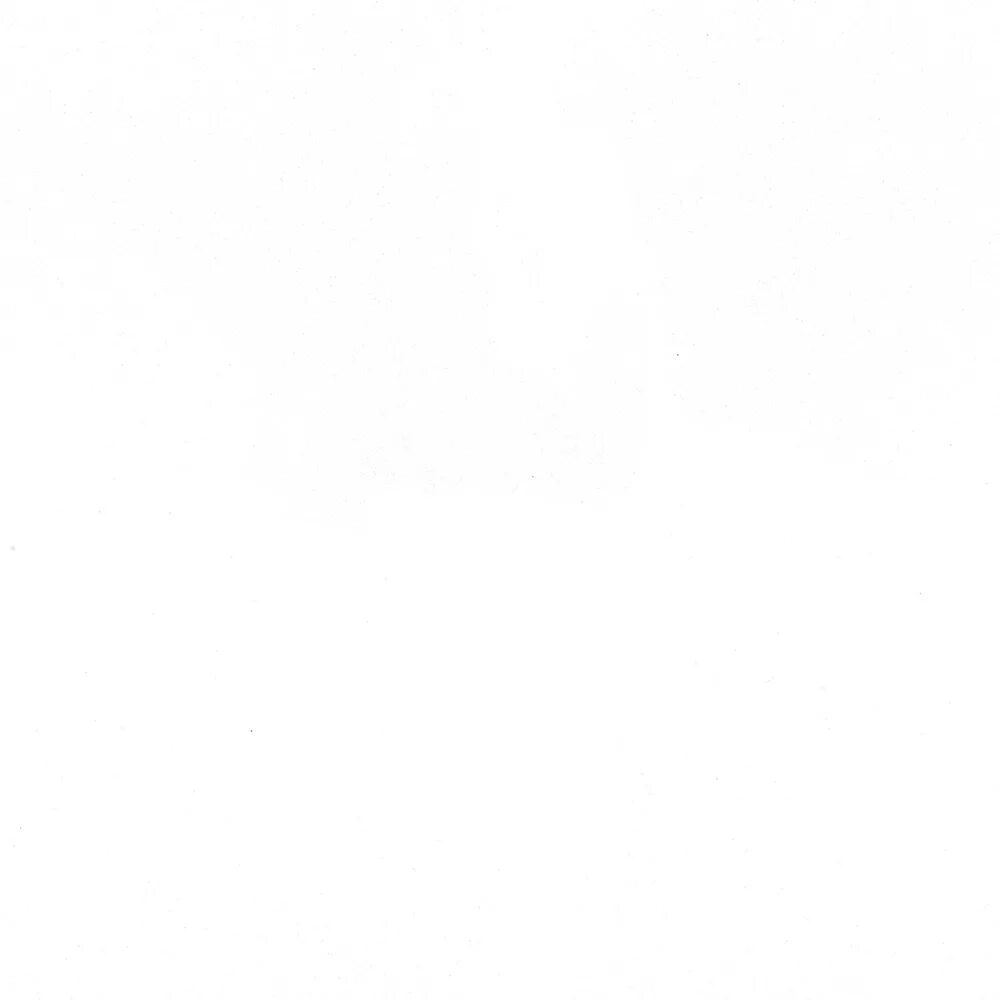 Whitescreen
