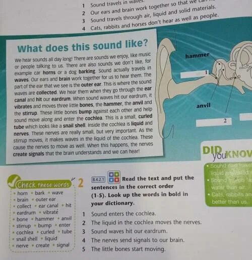 Read the words sentences to your. Put the Words in the correct order 5 класс ответы from are where they. Read the text in the class book. Put the sentences in the correct order.перевод. 1. Read the text and put the paragraphs in the correct order номер 4. Read the story and put the paragraphs in the correct order 7 класс.